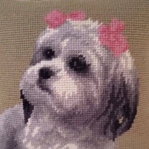 Meet your Posher, Bea